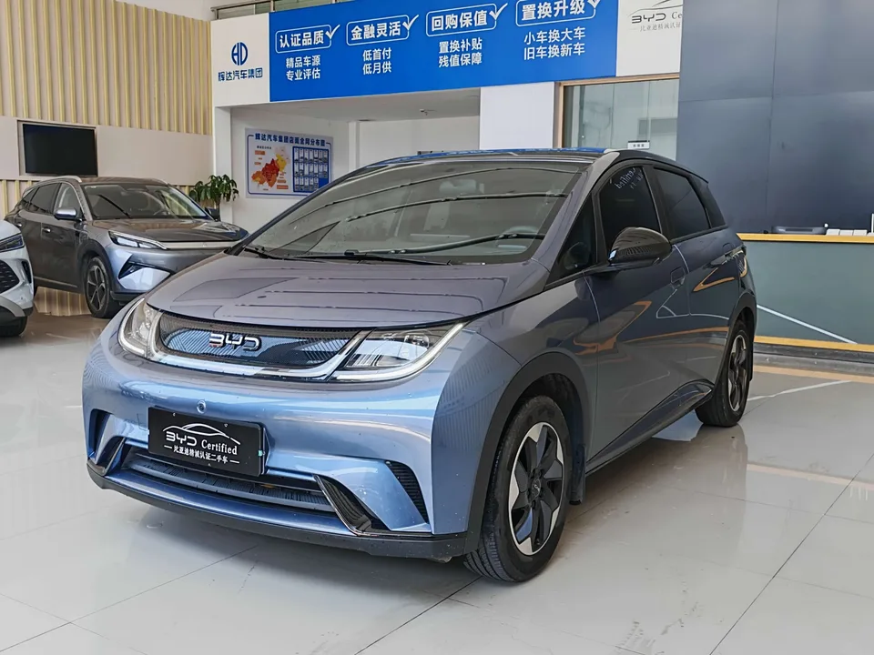 BYD Dolphin dolphin 2025 420KM Free Edition 2024 — photo 1, buy with delivery to Moscow