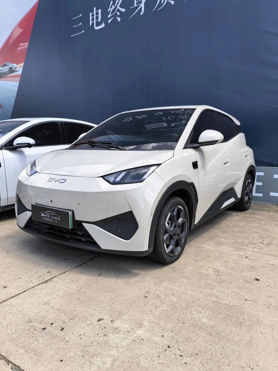 BYD Seagull seagull 2025 Smart Driving Edition 305KM Free Edition 2025 — photo 1, buy with delivery to Moscow