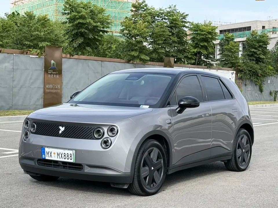 Firefly firefly firefly 2025 Luminous version 2025 — photo 1, buy with delivery to Moscow