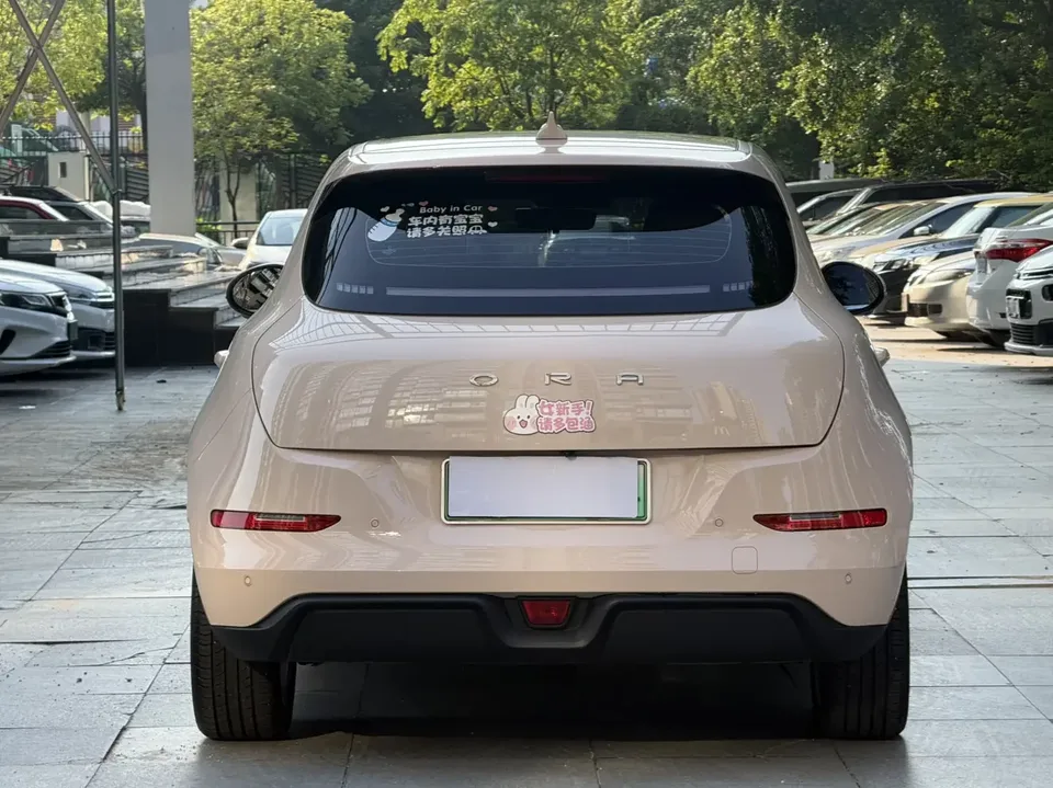 ORA Euler good cat Euler good cat 2023 401km standard endurance premium lithium iron phosphate 2024 — миниатюра 2