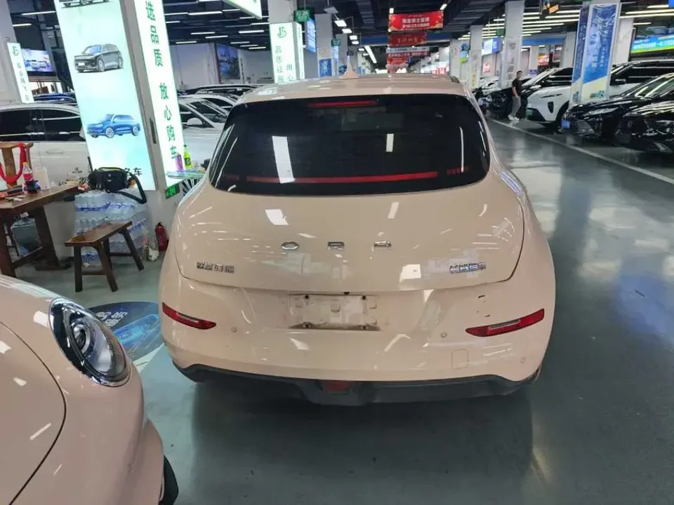 ORA Euler good cat Euler good cat 2024 401km Premium 2024 — thumbnail 4