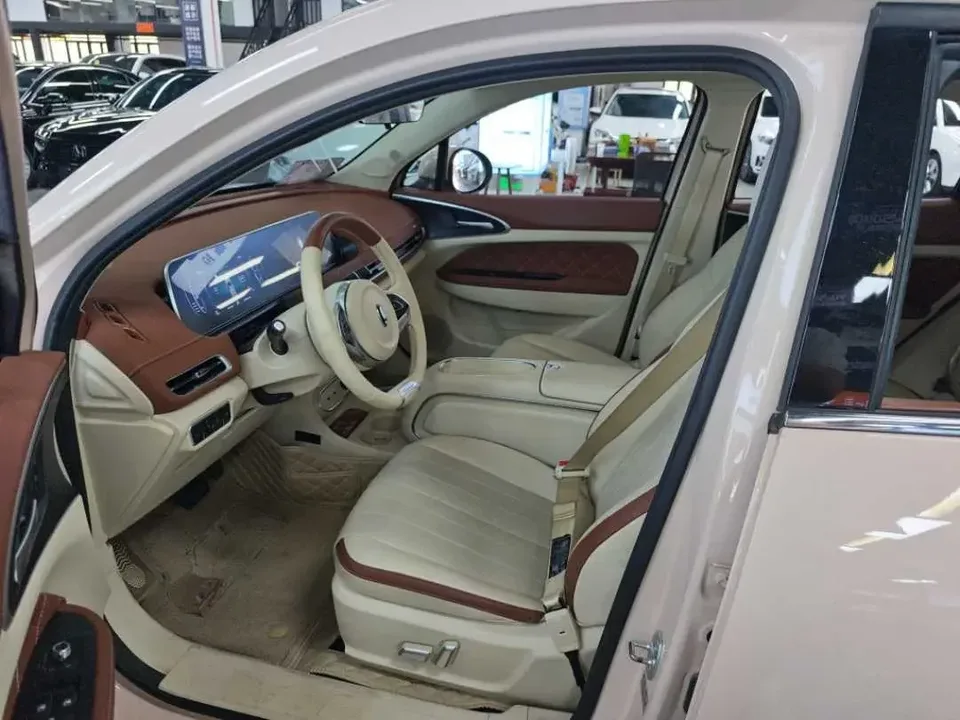 ORA Euler good cat Euler good cat 2024 401km Premium 2024 — thumbnail 5