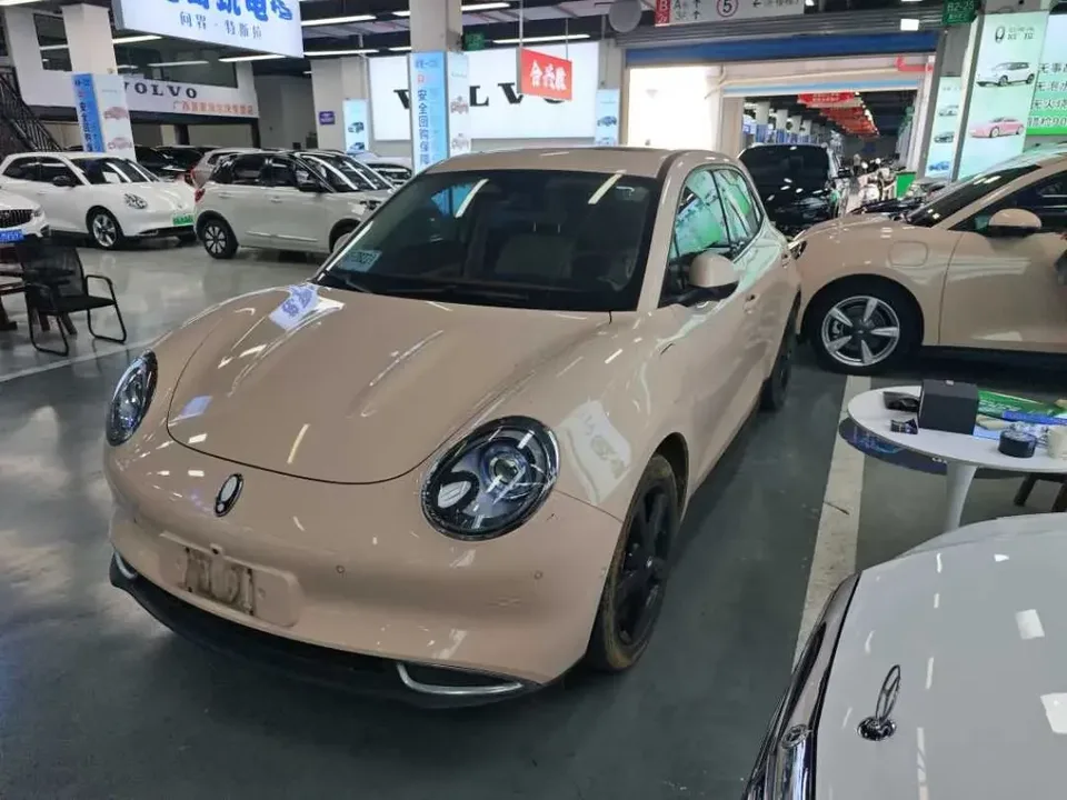 ORA Euler good cat Euler good cat 2024 401km Premium 2024 — photo 1, buy with delivery to Moscow