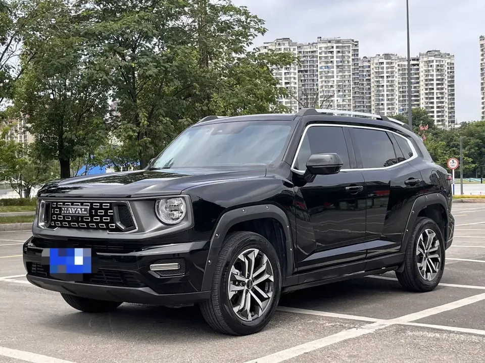 Haval H-Dog Haval Big Dog PLUS 2023 1.5T 2WD Trendy Wild Edition Plus 2024 — photo 1, buy with delivery to Moscow