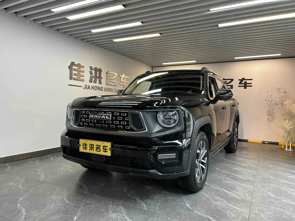 Haval H-Dog Haval Big Dog PLUS 2023 1.5T 2WD Trendy Wild Edition Plus 2024 — photo 1, buy with delivery to Moscow
