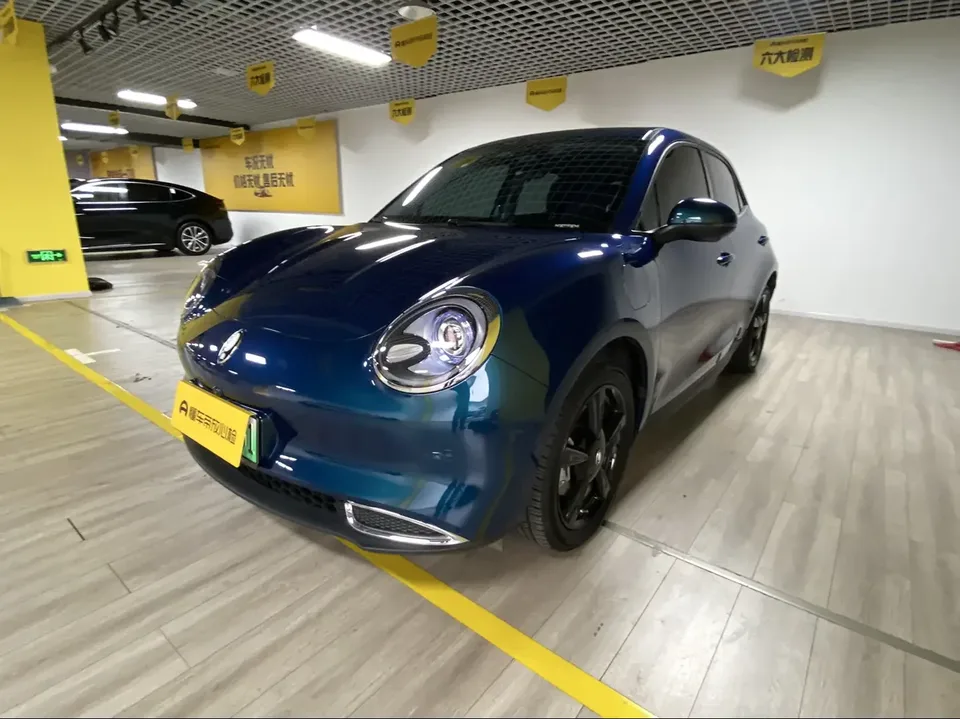 ORA Euler good cat Euler good cat 2024 401km Premium 126kW 2025 — photo 1, buy with delivery to Moscow