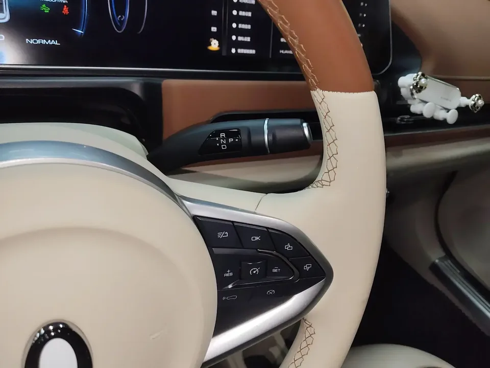 ORA Euler good cat Euler good cat 2023 401km standard endurance luxury lithium iron phosphate 2024 — thumbnail 4