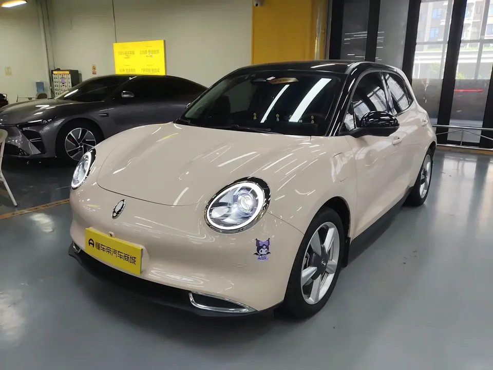 ORA Euler good cat Euler good cat 2023 401km standard endurance luxury lithium iron phosphate 2024 — photo 1, buy with delivery to Moscow