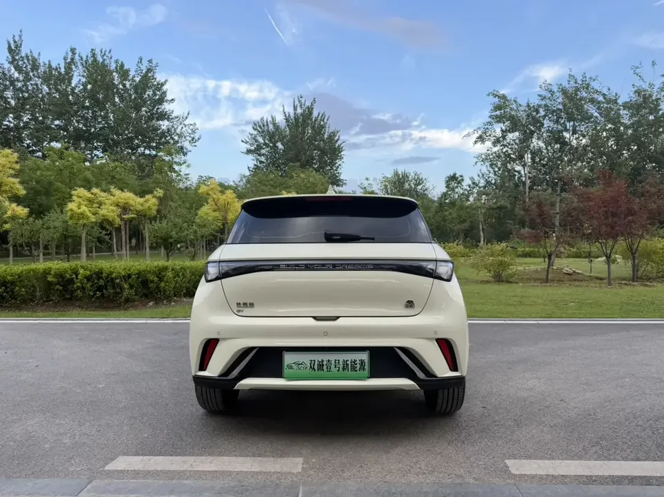 BYD Dolphin dolphin 2023 Free version 2024 — thumbnail 2