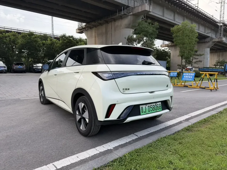 BYD Dolphin dolphin 2023 Free version 2024 — thumbnail 4