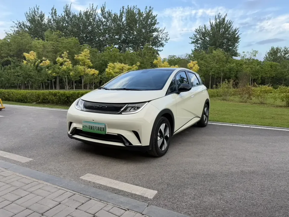 BYD Dolphin dolphin 2023 Free version 2024 — photo 1, buy with delivery to Moscow