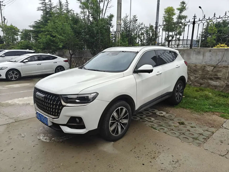 Haval H6 Haval H6 2023 National Trend Edition 1.5T Automatic City Edition 2024 — фото 1, купить с доставкой в Москву