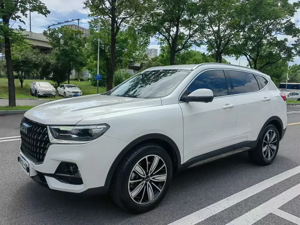 Haval H6 Haval H6 2023 National Trend Edition 1.5T Automatic City Edition 2024 — photo 1, buy with delivery to Moscow