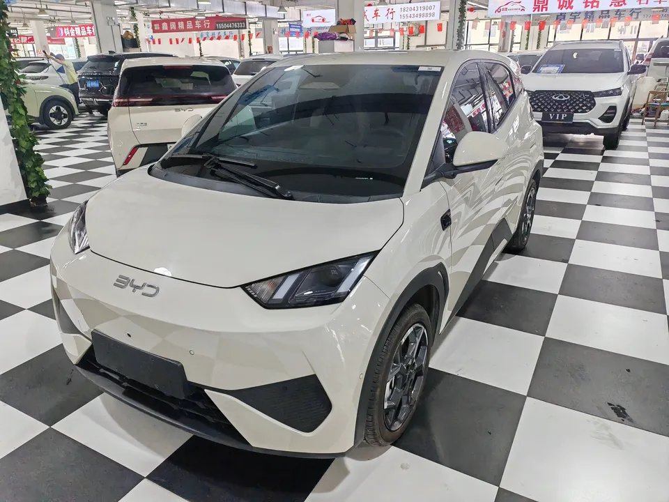 BYD Seagull seagull 2025 Smart Driving Edition 305KM Free Edition 2025 — photo 1, buy with delivery to Moscow