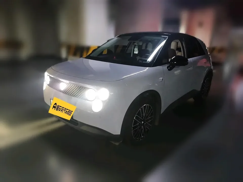 Firefly firefly firefly 2025 Luminous version 2025 — photo 1, buy with delivery to Moscow