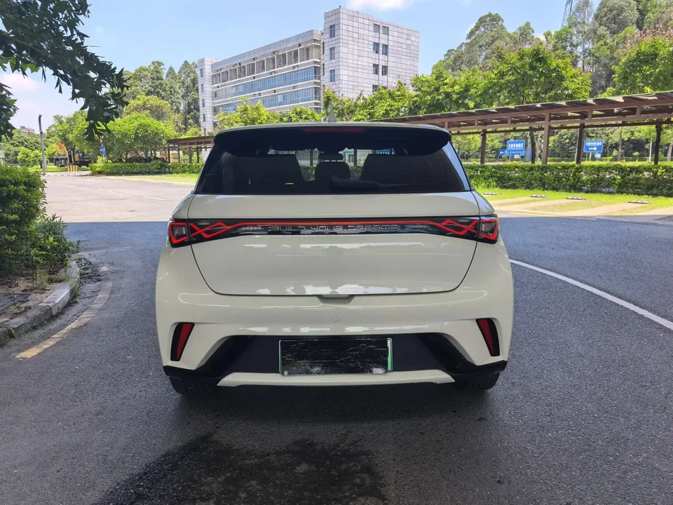 BYD Dolphin dolphin 2023 Fashion version 2023 — миниатюра 5