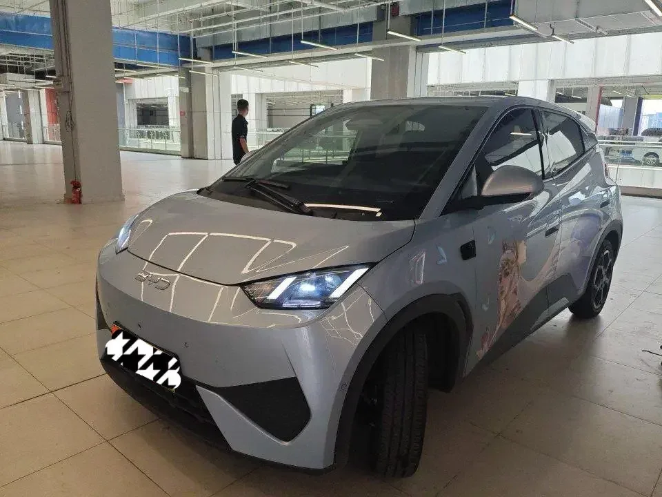 BYD Seagull seagull 2025 Smart Driving Edition 305KM Vitality Edition 2025 — photo 1, buy with delivery to Moscow