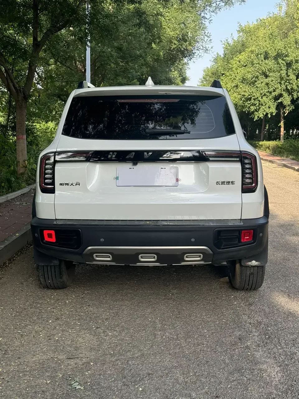 Haval Dargo Harvard dog 2022 1.5T 2WD Border Collie Edition 2023 — thumbnail 2