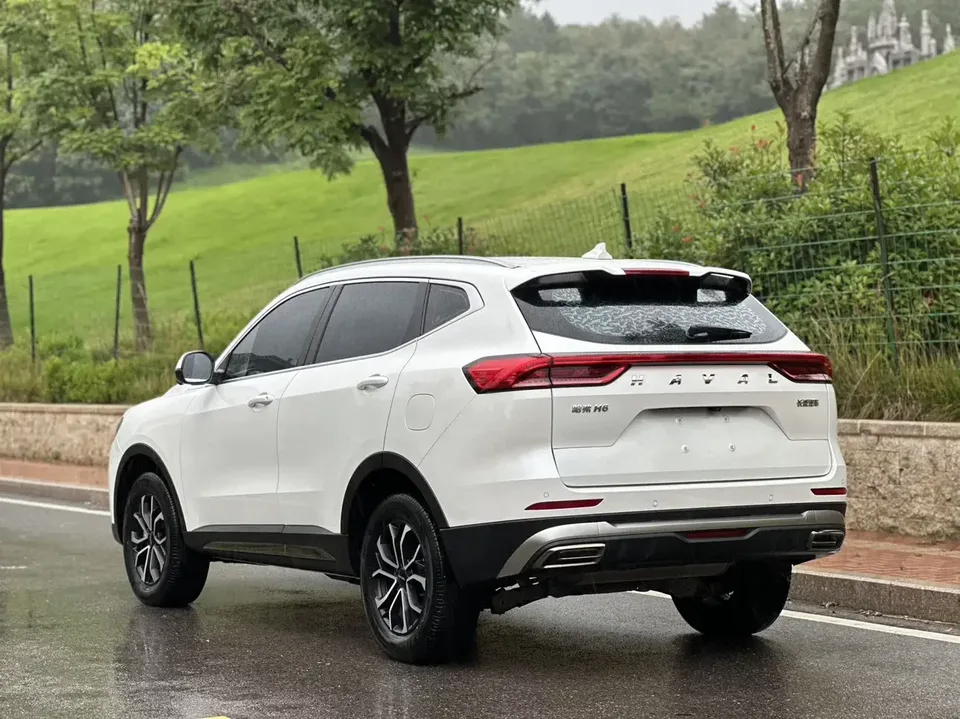 Haval H6 Haval H6 2023 National Trend Edition 1.5T Automatic City Edition 2023 — thumbnail 5