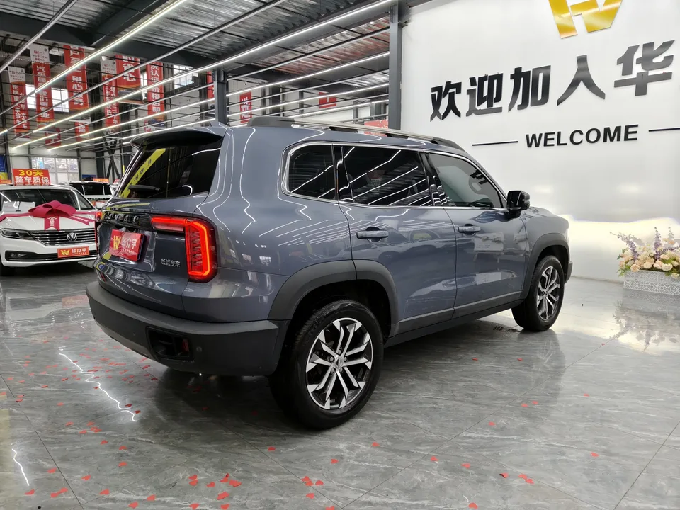 Haval Dargo Harvard dog 2022 1.5T 2WD Border Collie Edition 2023 — thumbnail 2
