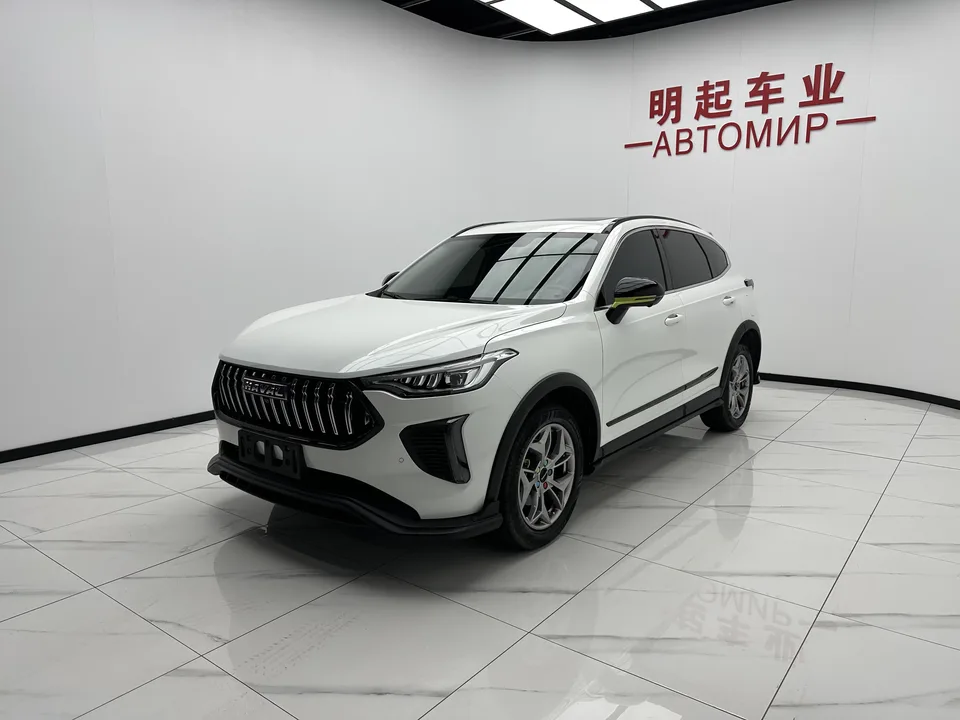 Haval Harvard Red Rabbit Harvard Red Rabbit 2022 Jinxiang Edition 1.5T Copper Rabbit 2022 — thumbnail 3