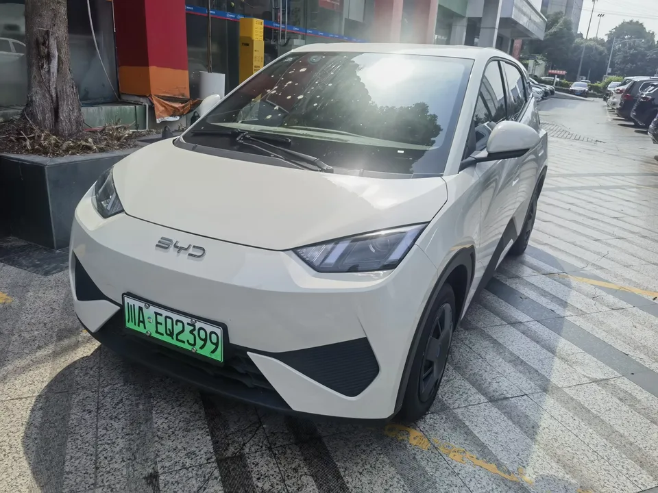BYD Seagull seagull 2025 Smart Driving Edition 305KM Vitality Edition 2026 — photo 1, buy with delivery to Moscow
