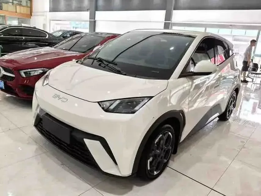 BYD Seagull seagull 2024 Honor Edition 305KM Vitality Edition 2024 — photo 1, buy with delivery to Moscow