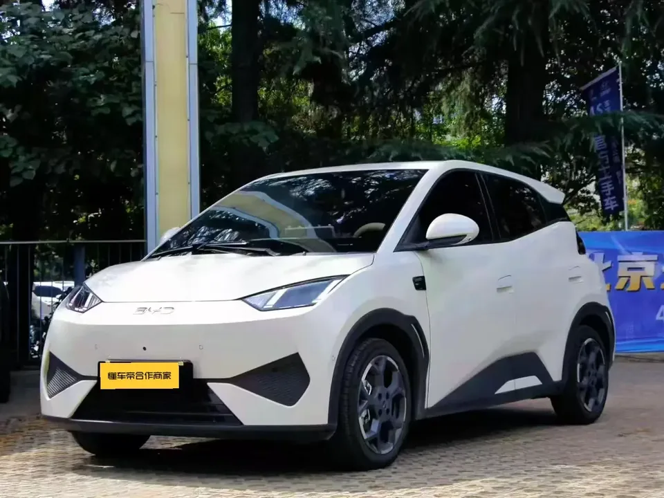 BYD Seagull seagull 2025 Smart Driving Edition 305KM Vitality Edition 2026 — photo 1, buy with delivery to Moscow
