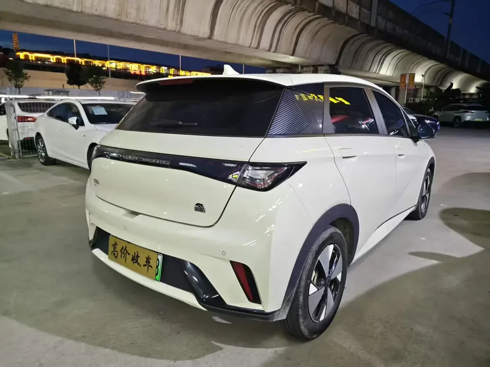 BYD Dolphin dolphin 2023 Free version 2023 — thumbnail 2
