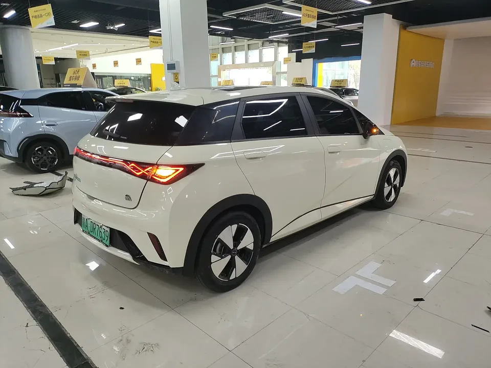 BYD Dolphin dolphin 2023 Fashion version 2024 — thumbnail 2