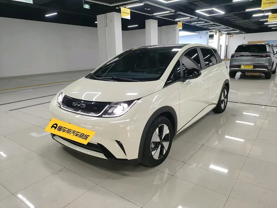 BYD Dolphin dolphin 2023 Fashion version 2024 — photo 1, buy with delivery to Moscow