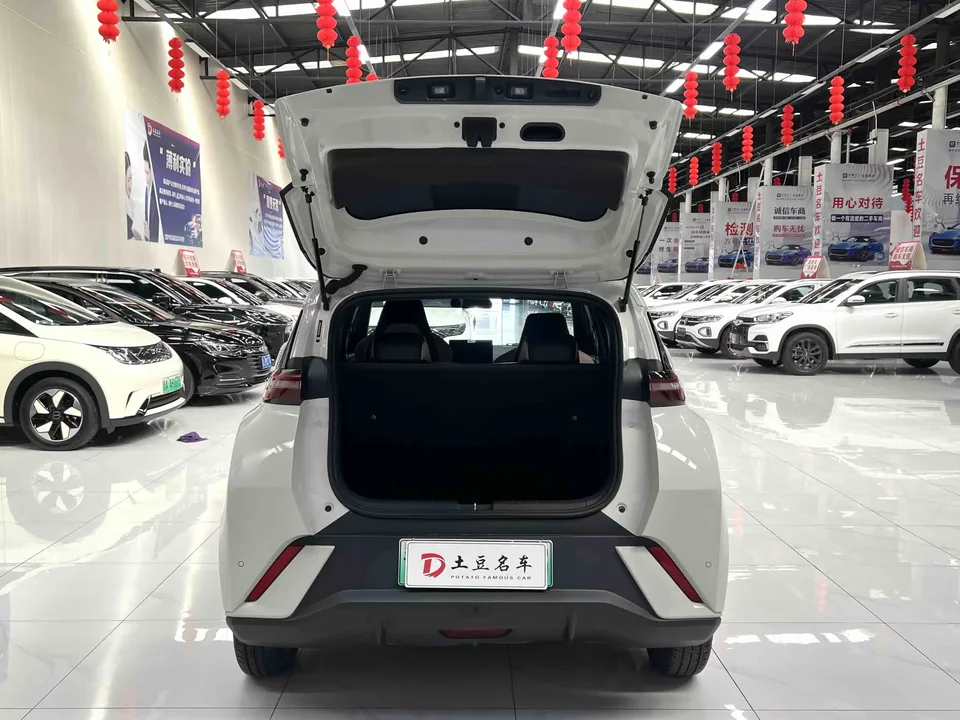 BYD Seagull seagull 2025 305KM Vitality Edition 2025 — thumbnail 3