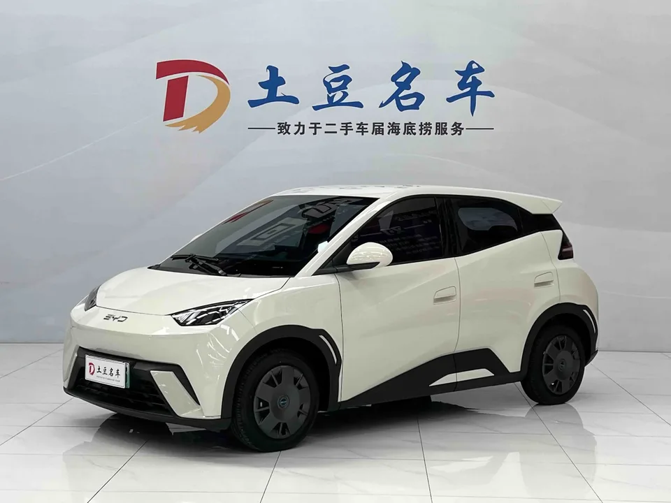 BYD Seagull seagull 2025 305KM Vitality Edition 2025 — photo 1, buy with delivery to Moscow