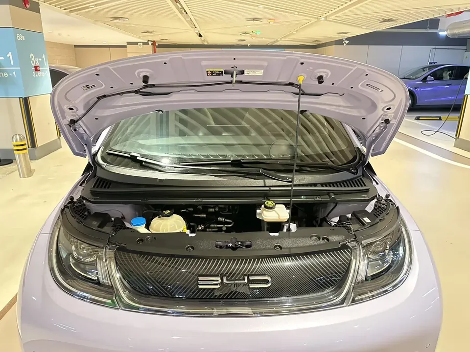 BYD Dolphin dolphin 2023 Fashion version 2023 — миниатюра 3