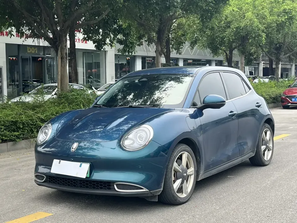 ORA Euler good cat Euler good cat 2024 401km Premium 2024 — photo 1, buy with delivery to Moscow