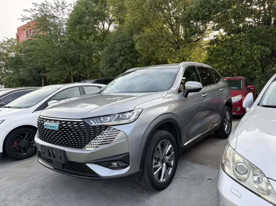 Haval H6 PHEV Haval H6 PHEV 2022 1.5T DHT-PHEV 110km Free Travel Edition 2024 — photo 1, buy with delivery to Moscow