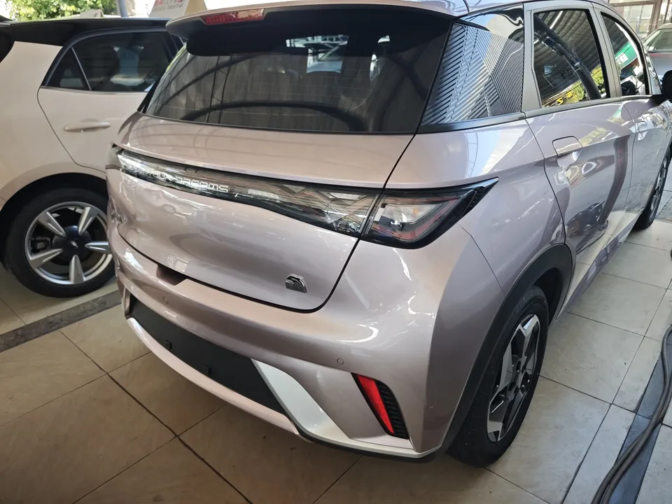 BYD Dolphin dolphin 2021 Free version 2023 — thumbnail 2