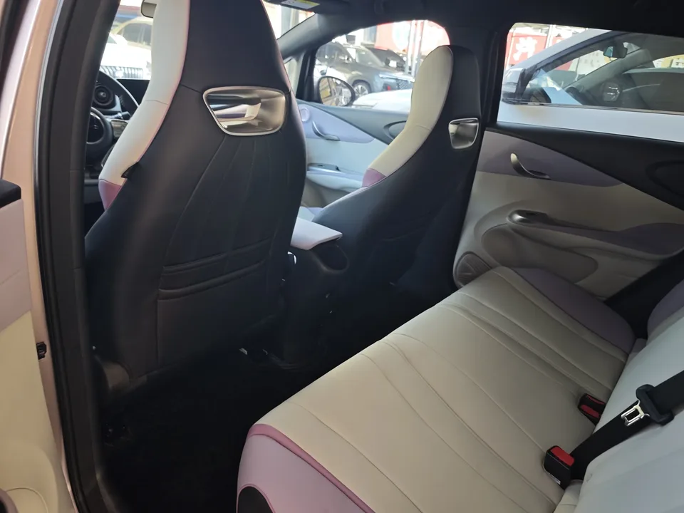 BYD Dolphin dolphin 2021 Free version 2023 — thumbnail 3