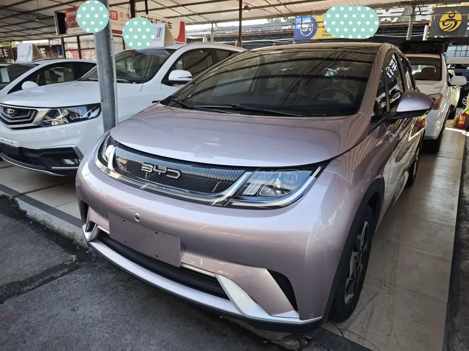 BYD Dolphin dolphin 2021 Free version 2023 — photo 1, buy with delivery to Moscow