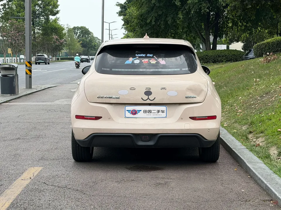 ORA Euler good cat Euler good cat 2023 401km standard endurance premium lithium iron phosphate 2024 — thumbnail 5