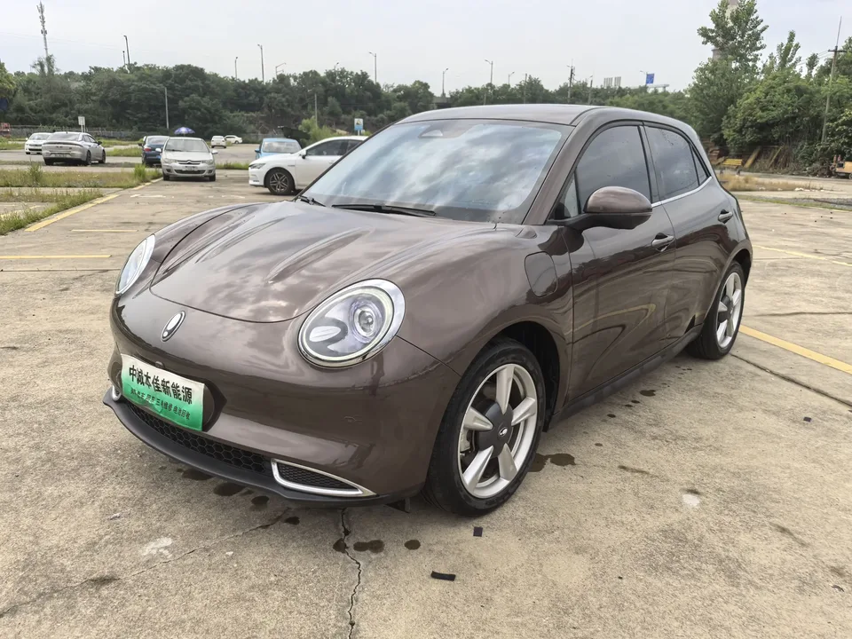 ORA Euler good cat Euler good cat 2021 400km standard range Muse version lithium iron phosphate battery 2022 — photo 1, buy with delivery to Moscow