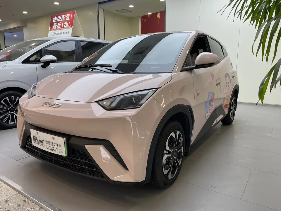 BYD Seagull seagull 2025 305KM Vitality Edition 2025 — photo 1, buy with delivery to Moscow