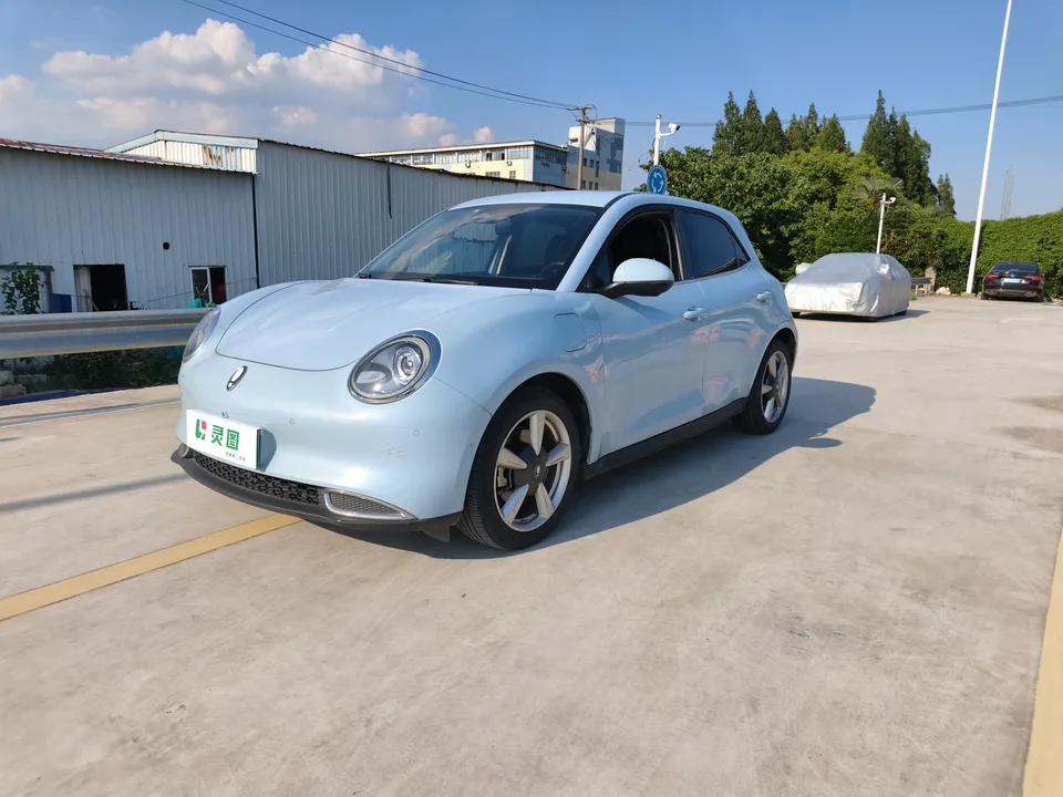 ORA Euler good cat Euler good cat 2021 400km standard range Athena version lithium iron phosphate battery 2022 — photo 1, buy with delivery to Moscow