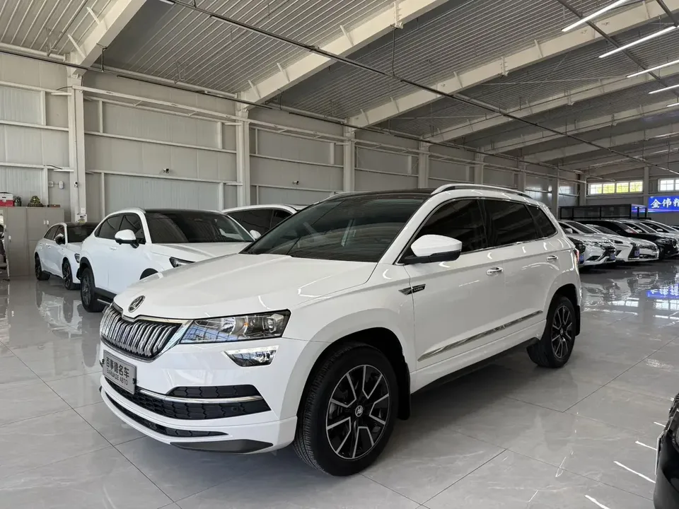 Skoda Karoq Korok 2022 TSI280 Premium Edition 2023 — photo 1, buy with delivery to Moscow