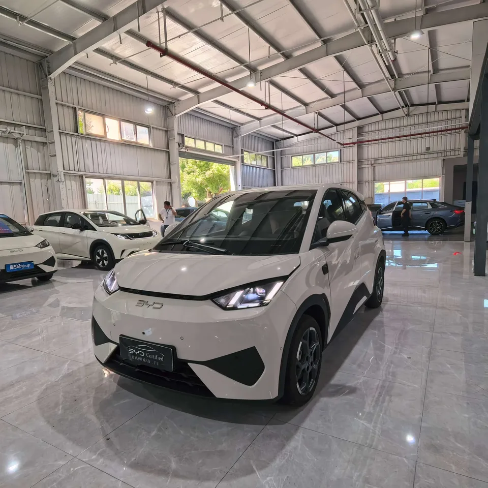 BYD Seagull seagull 2025 Smart Driving Edition 405KM Flying Edition 2025 — photo 1, buy with delivery to Moscow