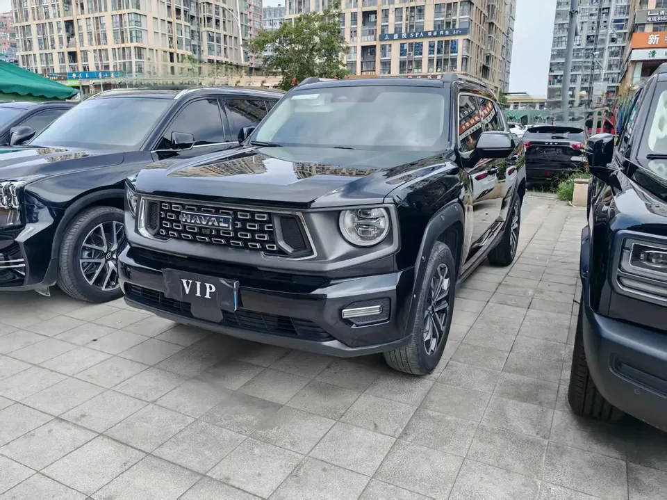 Haval H-Dog Haval Big Dog PLUS 2023 1.5T 2WD Trendy Wild Edition Plus 2023 — photo 1, buy with delivery to Moscow