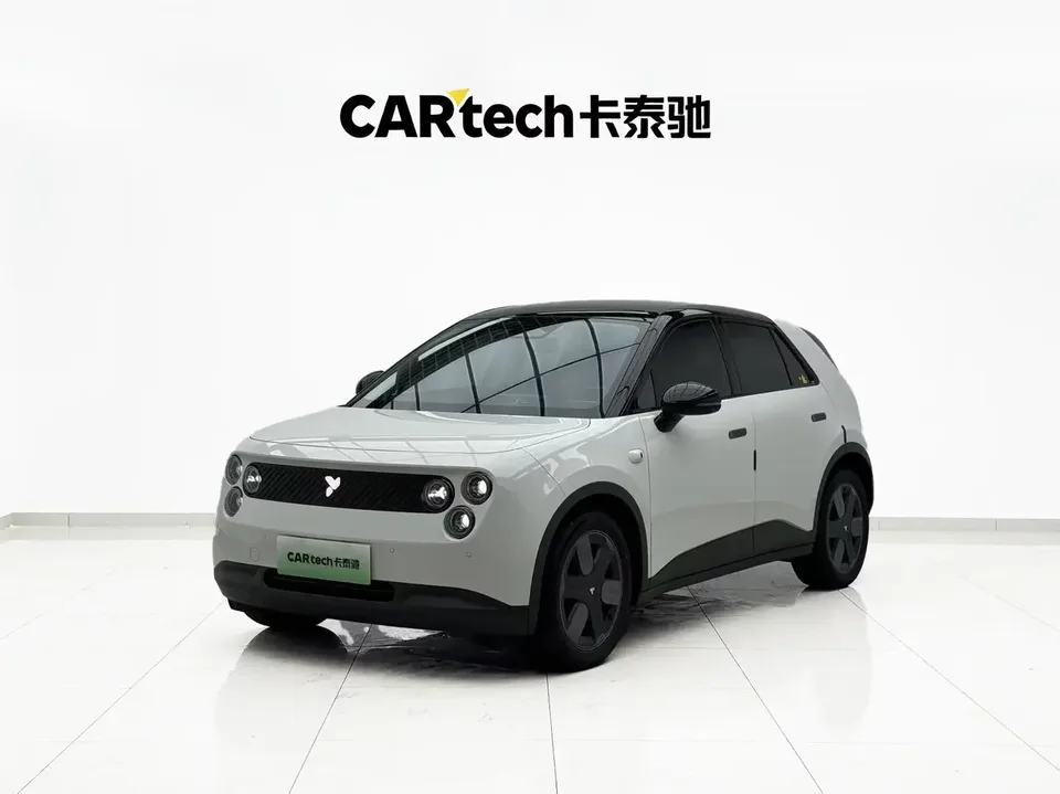 Firefly firefly firefly 2025 Luminous version 2025 — photo 1, buy with delivery to Moscow