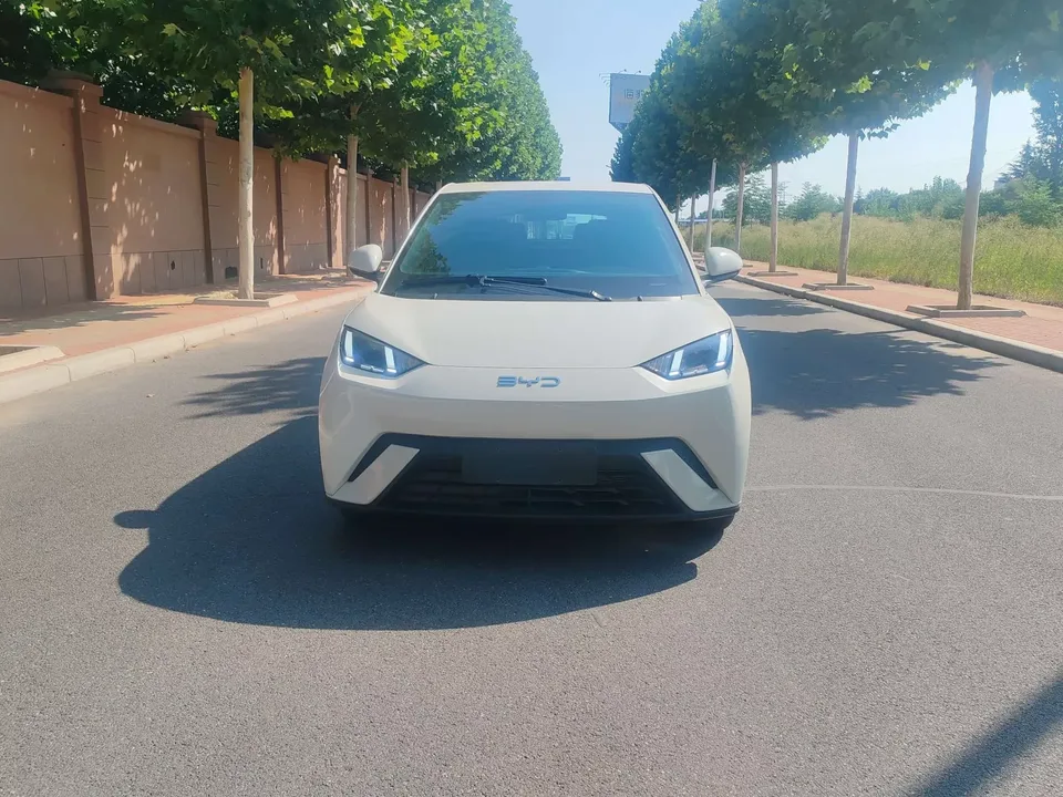BYD Seagull seagull 2025 405KM Flying Edition 2025 — photo 1, buy with delivery to Moscow