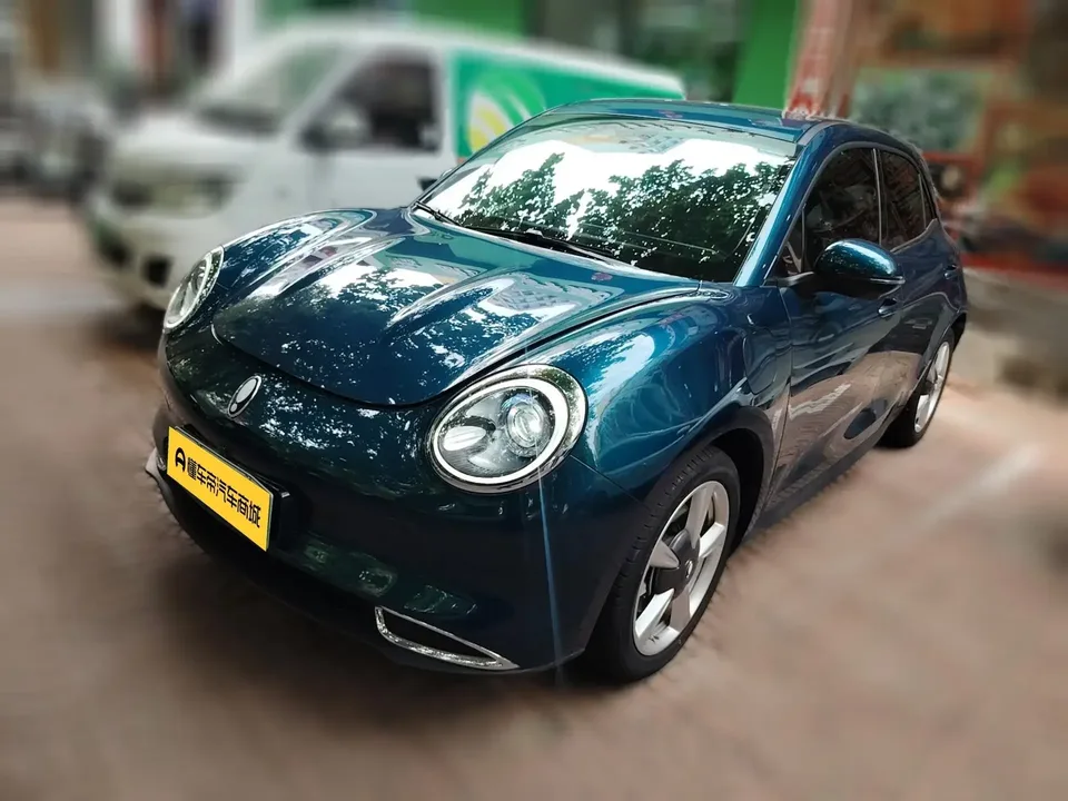 ORA Euler good cat Euler good cat 2023 401km standard endurance luxury lithium iron phosphate 2024 — photo 1, buy with delivery to Moscow