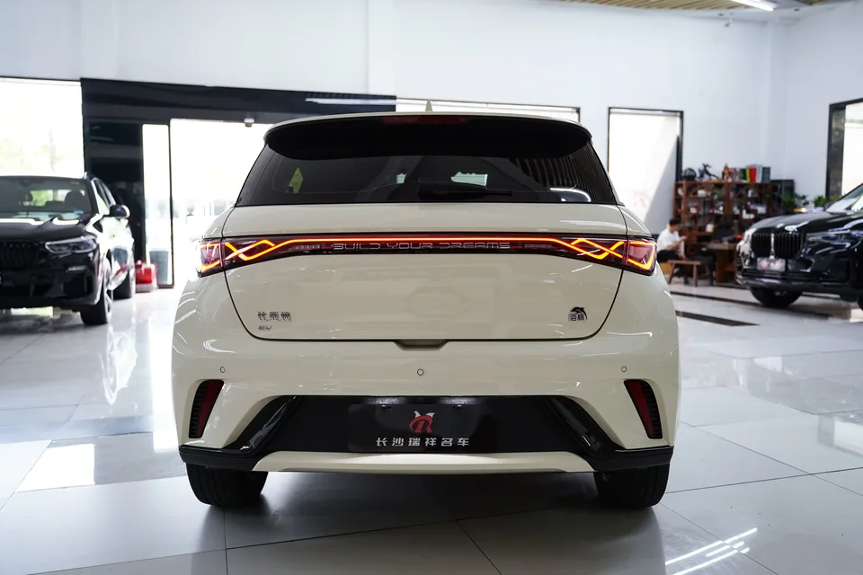 BYD Dolphin dolphin 2023 Fashion version 2023 — миниатюра 2